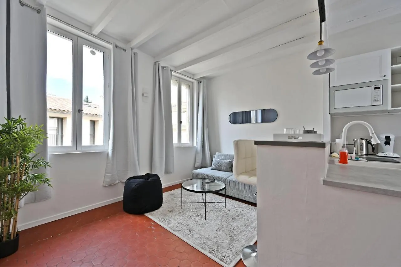 Au Roi Rene - Ac Clim - Wifi Apartment Avignon France